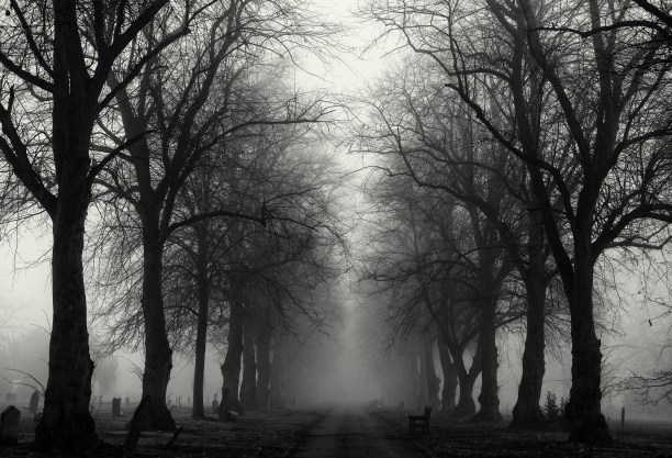 ©SilverGinger Imagery