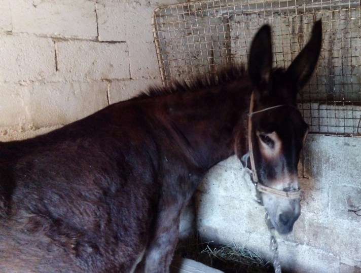 IMG_20170624_194516_440