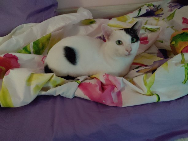 MVIMG_20190917_195716