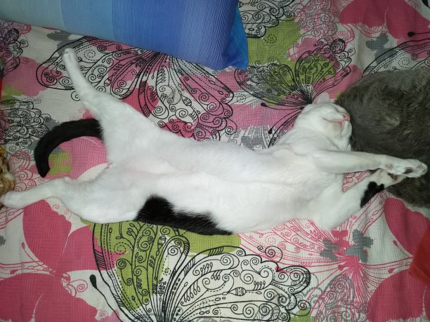 MVIMG_20191117_163407